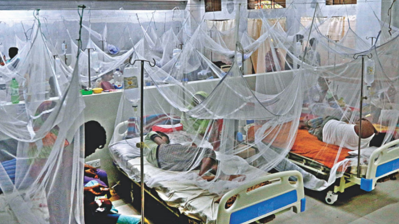 ২৪ ঘণ্টায় ডেঙ্গুতে ২ জনের মৃত্যু, হাসপাতালে ভর্তি ৪৪৫